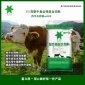 牛预混料-求肉牛催肥饲料配方